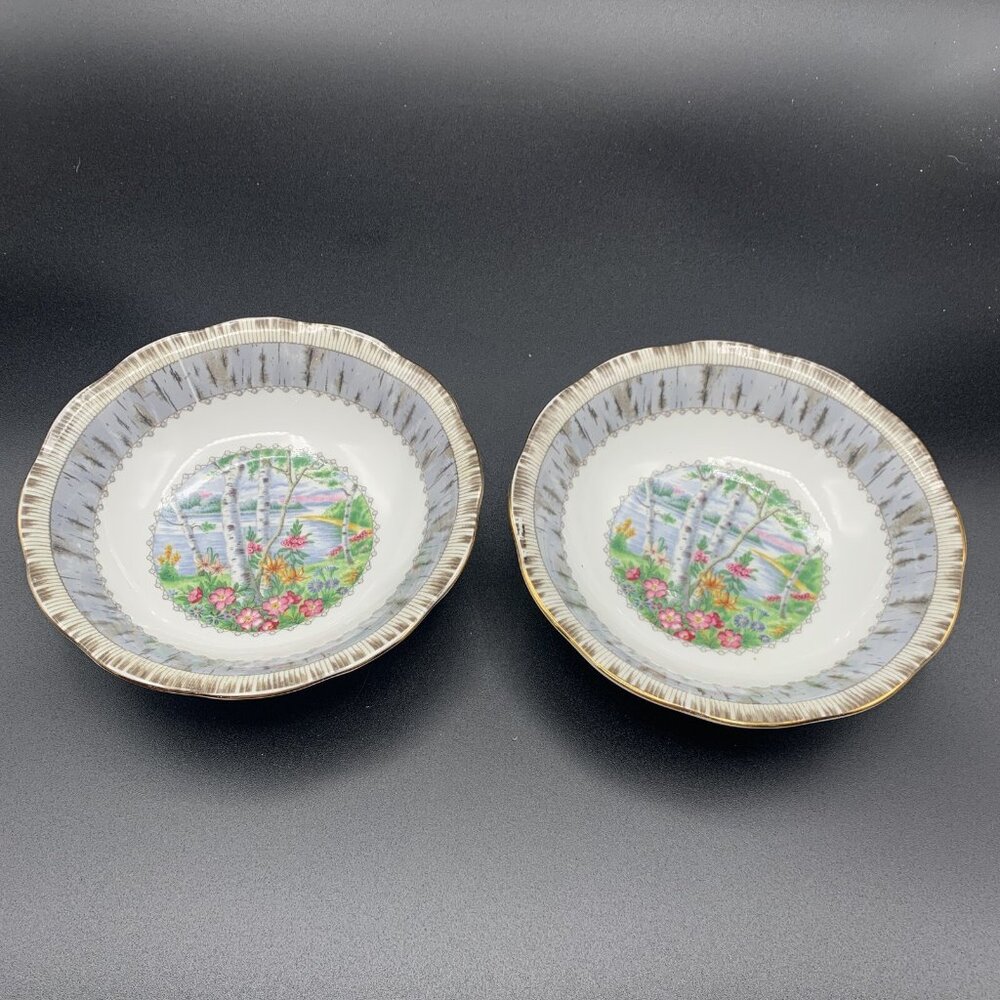 Royal Albert Silver Birch Fruit / Dessert Bowl 5 1/2 Inch Set Of 2